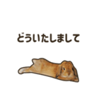 What's up, Everybun！ 2（個別スタンプ：4）