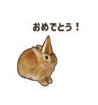 What's up, Everybun！ 2（個別スタンプ：5）