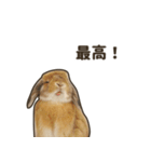 What's up, Everybun！ 2（個別スタンプ：6）