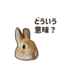 What's up, Everybun！ 2（個別スタンプ：7）