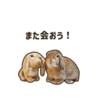 What's up, Everybun！ 2（個別スタンプ：8）