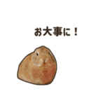 What's up, Everybun！ 2（個別スタンプ：9）