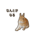What's up, Everybun！ 2（個別スタンプ：11）