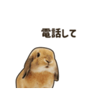 What's up, Everybun！ 2（個別スタンプ：13）