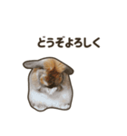 What's up, Everybun！ 2（個別スタンプ：14）
