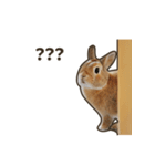 What's up, Everybun！ 2（個別スタンプ：16）