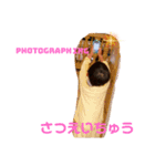 りったんbrothers♪（個別スタンプ：3）