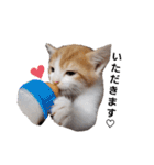 毛むくじゃら達6（個別スタンプ：10）