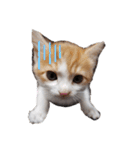 毛むくじゃら達6（個別スタンプ：16）