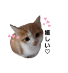 毛むくじゃら達6（個別スタンプ：18）