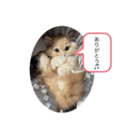 もなかスタンプ 第2弾♪（個別スタンプ：1）