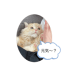 もなかスタンプ 第2弾♪（個別スタンプ：3）