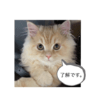 もなかスタンプ 第2弾♪（個別スタンプ：4）