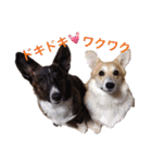 ロン＆トトのスタンプ！！（個別スタンプ：4）