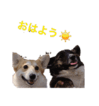 ロン＆トトのスタンプ！！（個別スタンプ：5）