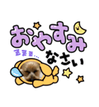 ヨーキー♡じじ（個別スタンプ：4）