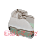 タヌキ猫とねずみ（個別スタンプ：12）