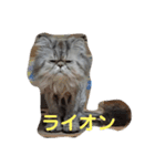 タヌキ猫とねずみ（個別スタンプ：15）