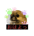 この前作った陸の彼女さんです（個別スタンプ：2）