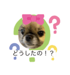 この前作った陸の彼女さんです（個別スタンプ：7）
