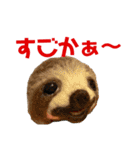 にわのえほん#3 博多弁（個別スタンプ：6）