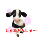 にわのえほん#3 博多弁（個別スタンプ：13）