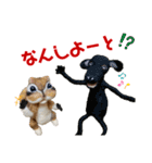 にわのえほん#3 博多弁（個別スタンプ：16）