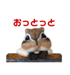 にわのえほん#3 博多弁（個別スタンプ：21）