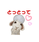 にわのえほん#3 博多弁（個別スタンプ：23）