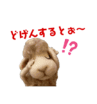 にわのえほん#3 博多弁（個別スタンプ：31）