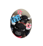なめこふぁむ（個別スタンプ：4）