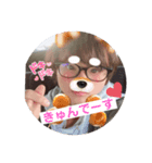 なめこふぁむ（個別スタンプ：7）