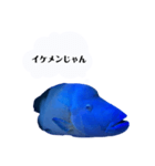 ナポフィ〜と私（個別スタンプ：1）