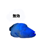 ナポフィ〜と私（個別スタンプ：7）