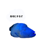ナポフィ〜と私（個別スタンプ：18）