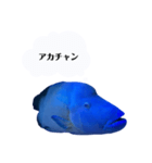 ナポフィ〜と私（個別スタンプ：24）