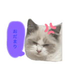 ♡フワフワなオモチ♡（個別スタンプ：2）