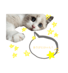 ♡フワフワなオモチ♡（個別スタンプ：5）