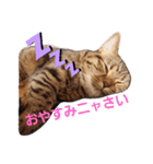 大豆くんと茶豆ちゃん（個別スタンプ：2）