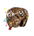 大豆くんと茶豆ちゃん（個別スタンプ：7）