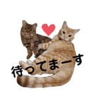 大豆くんと茶豆ちゃん（個別スタンプ：8）