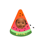 HARUpi3（個別スタンプ：5）