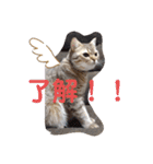 マンチカンふむ2（個別スタンプ：11）