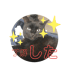 虹だんごのジジとキキ♡追加分（個別スタンプ：1）