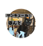 虹だんごのジジとキキ♡追加分（個別スタンプ：3）