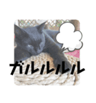 虹だんごのジジとキキ♡追加分（個別スタンプ：4）