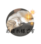 虹だんごのジジとキキ♡追加分（個別スタンプ：5）