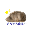ぴょん吉3（個別スタンプ：2）