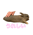 ハルくんすたんぷ！（個別スタンプ：4）