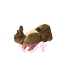 ハルくんすたんぷ！（個別スタンプ：8）